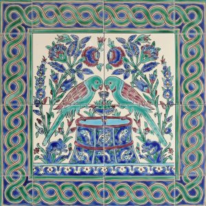 Parrots with Torsade Border