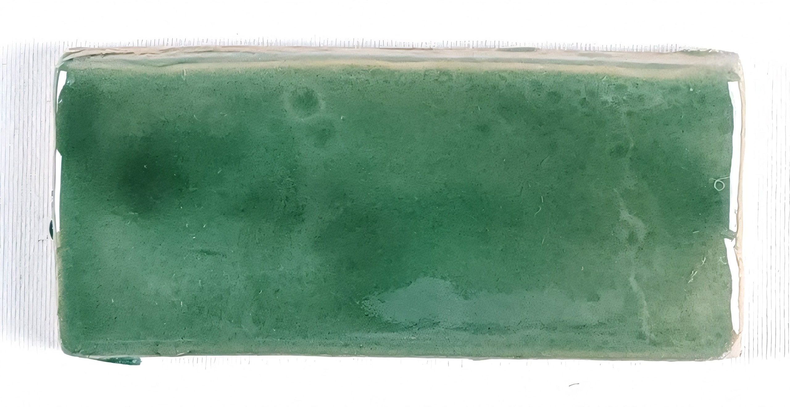 PALACIO CARRIBE HM - Image 2